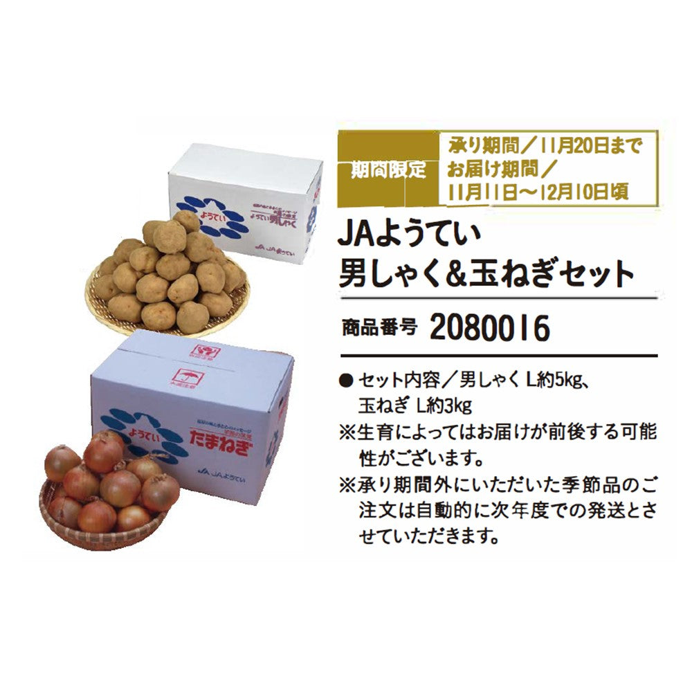 JAようてい 男しゃく&玉ねぎセット