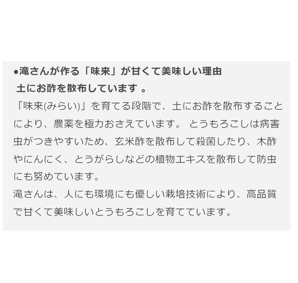 JA道央　スイートコーン(味来)