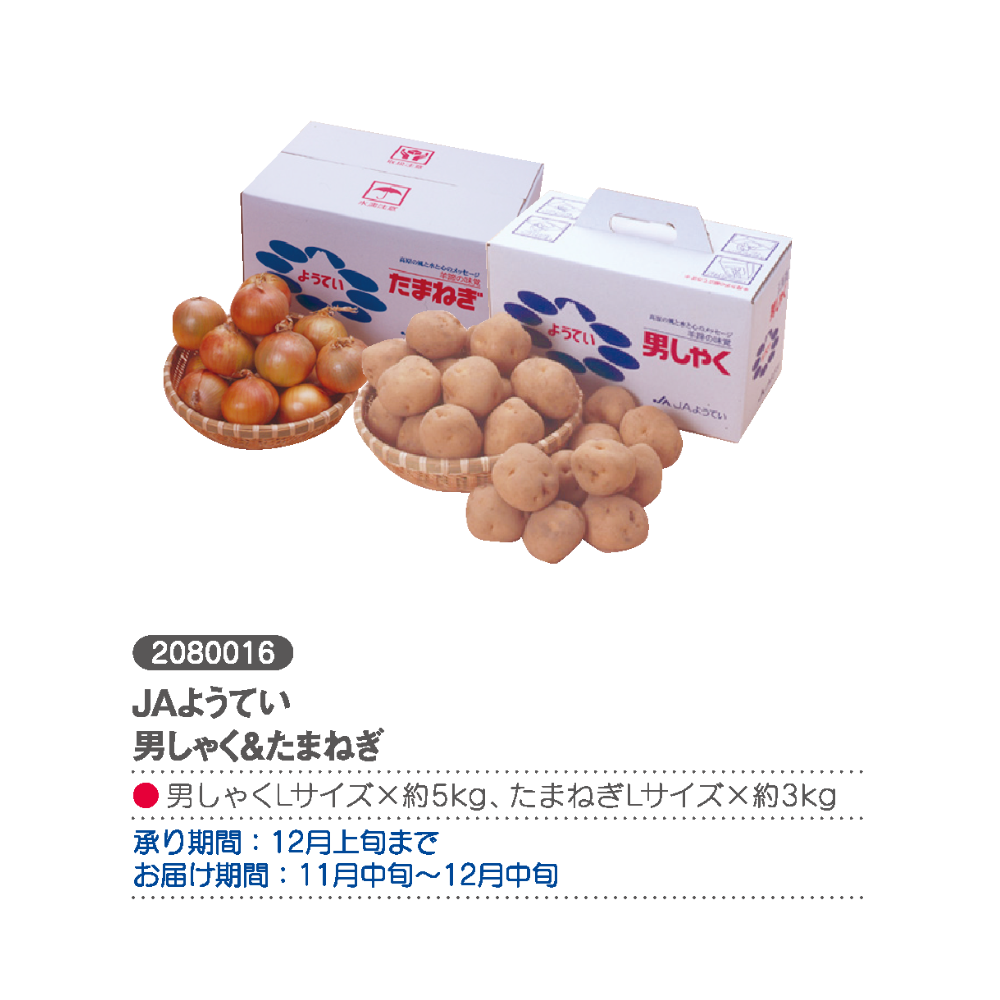 JAようてい 男しゃく＆たまねぎ