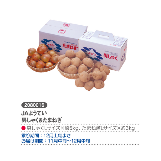 JAようてい 男しゃく＆たまねぎ