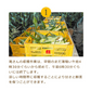 JA道央　スイートコーン(味来)
