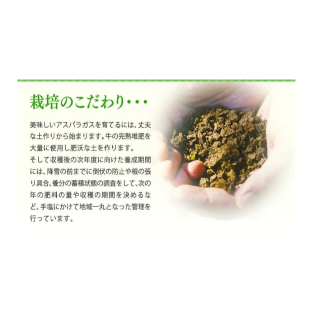 JA道北なよろ　 グリーンアスパラガス
