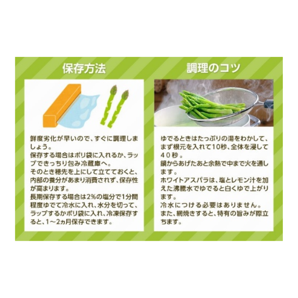 JA道北なよろ　 グリーンアスパラガス