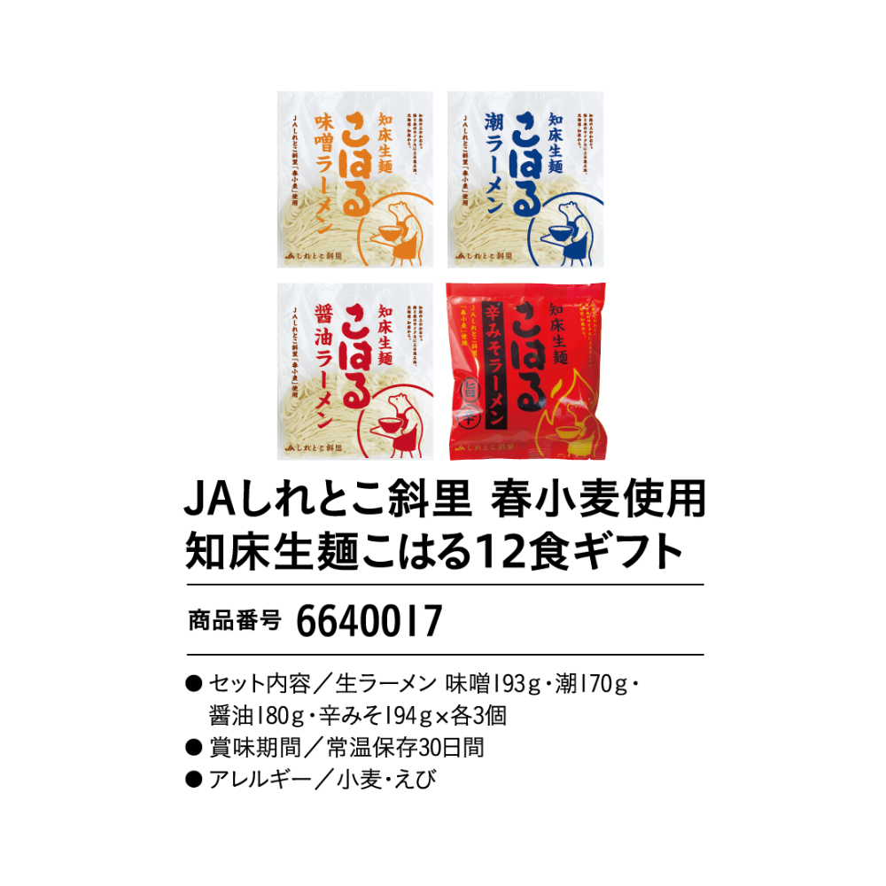 JAしれとこ斜里　春小麦使用知床生麺こはる12食ギフト