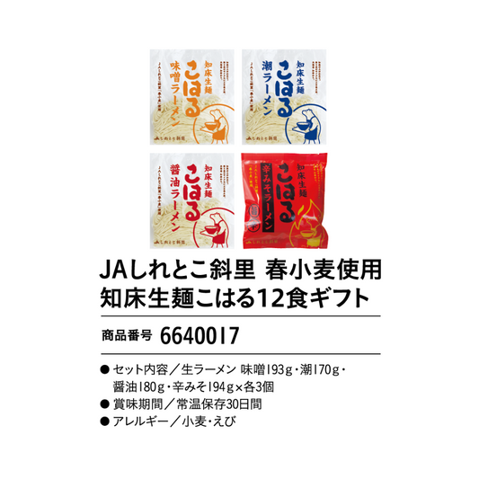 JAしれとこ斜里　春小麦使用知床生麺こはる12食ギフト
