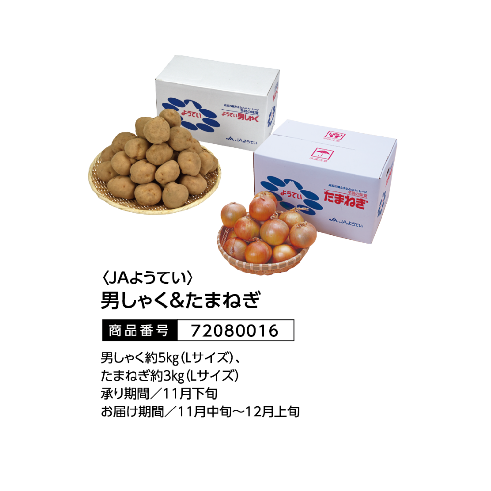 JAようてい 男しゃく＆たまねぎ