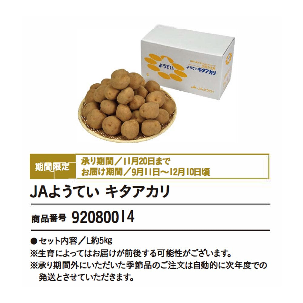 JAようてい　キタアカリ