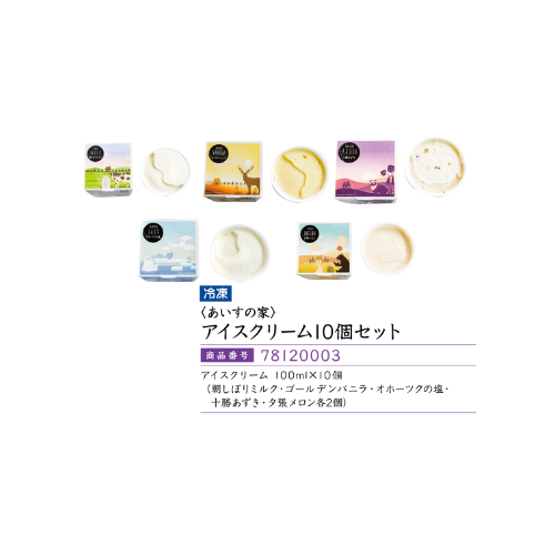 <あいすの家>アイスクリーム10個セット